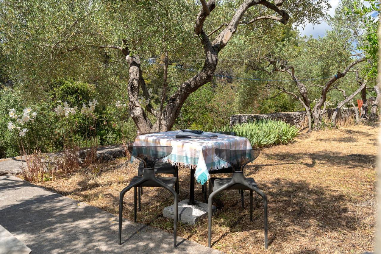 Sansevic Guest house Stari Grad (Hvar)